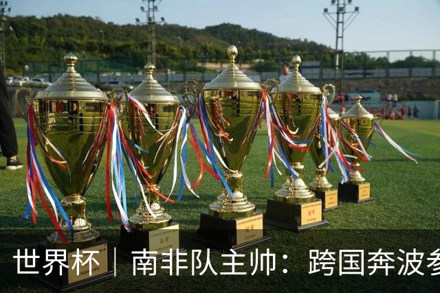 世界杯｜南非队主帅：跨国奔波参赛“令人非常疲惫”