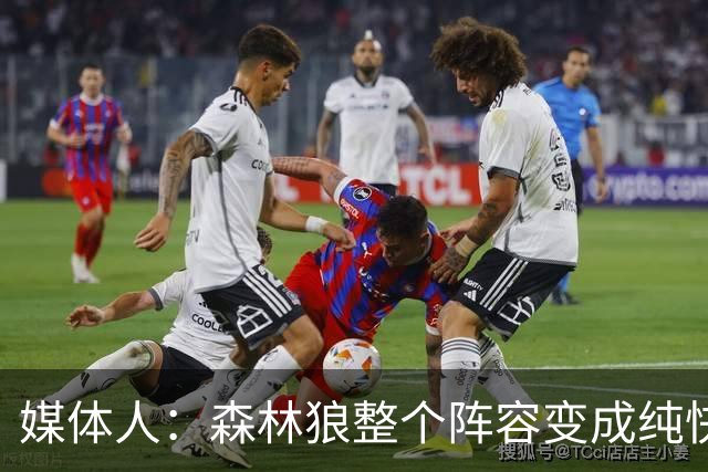 媒体人：森林狼整个阵容变成纯快节奏抢投了 球队也梭哈了