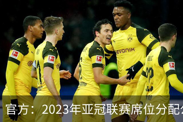 官方：2023年亚冠联赛席位分配公布 中超名额为2+2