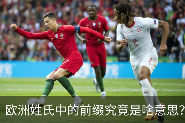 欧洲姓氏中的前缀究竟是啥意思？勒布朗的Le代表中世纪贵族背景？